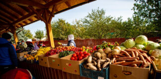 UE își deschide piața pentru produsele agricole moldovenești. Pentru un an și fără taxe vamale