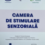 criuleni camera senzoriala5