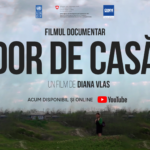 dor de casa UNDP.org