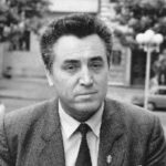 nicolae costin
