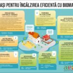 biocombustibili solizi