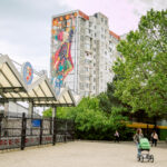 pictura speranta1