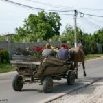 satul moldovei sanatate info