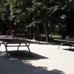 1dendrariu