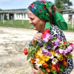 batrina cu flori