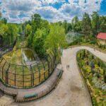 gradina zoologica