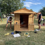 tineri si maturi2
