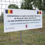 apavital macaresti