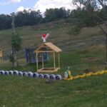 borosenii noi3